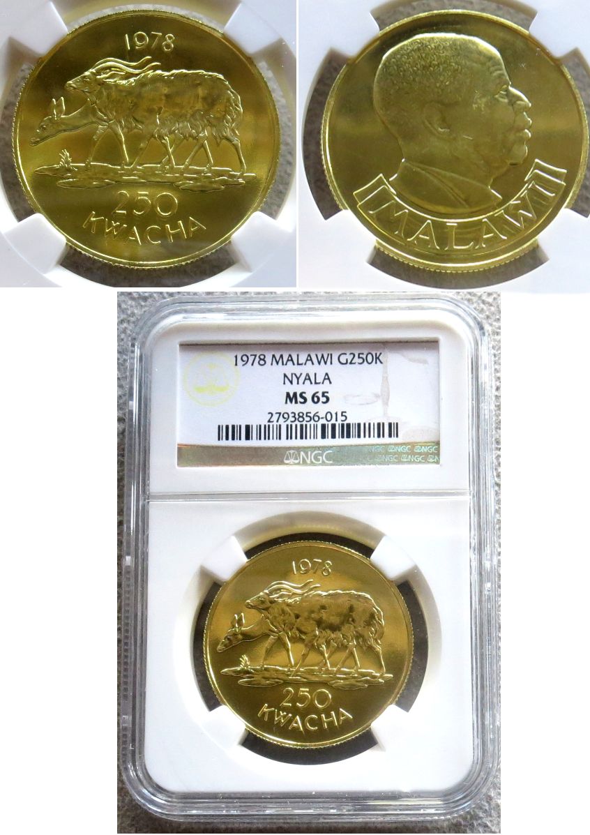 1978 GOLD MALAWI 250 KWACHA NYALA NGC MINT STATE 65  ONLY 566 MINTED "NYALA ANTELOPE"