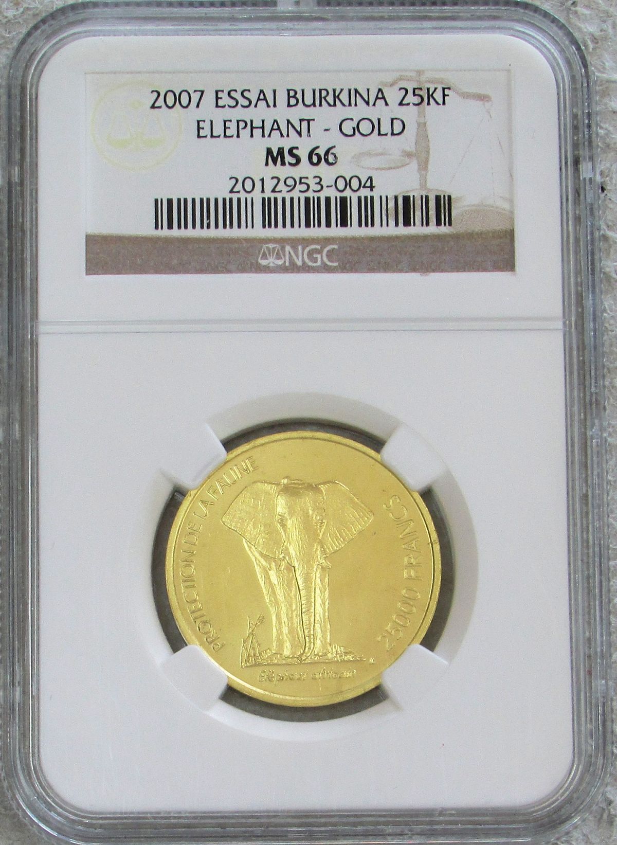 2007 GOLD BURKINA FASO PATTERN  NGC MINT STATE  66 "ELEPHANT" ONLY 85 MINTED