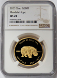 2020 GOLD CHAD 50,000 KF MANDALA HIPPO 1 OZ COIN NGC MINT STATE 70 ONLY 100 MINTED